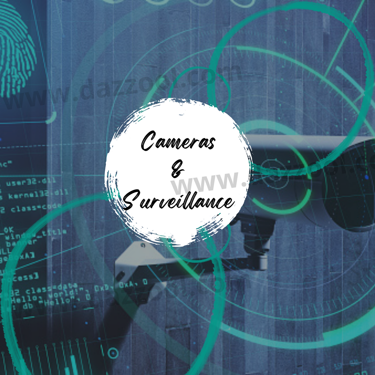 Camera & Surveillance